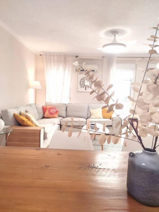 Charming & Spacious Apartment In Historic Centre & Short Walk To Beach Alicante Exterior foto