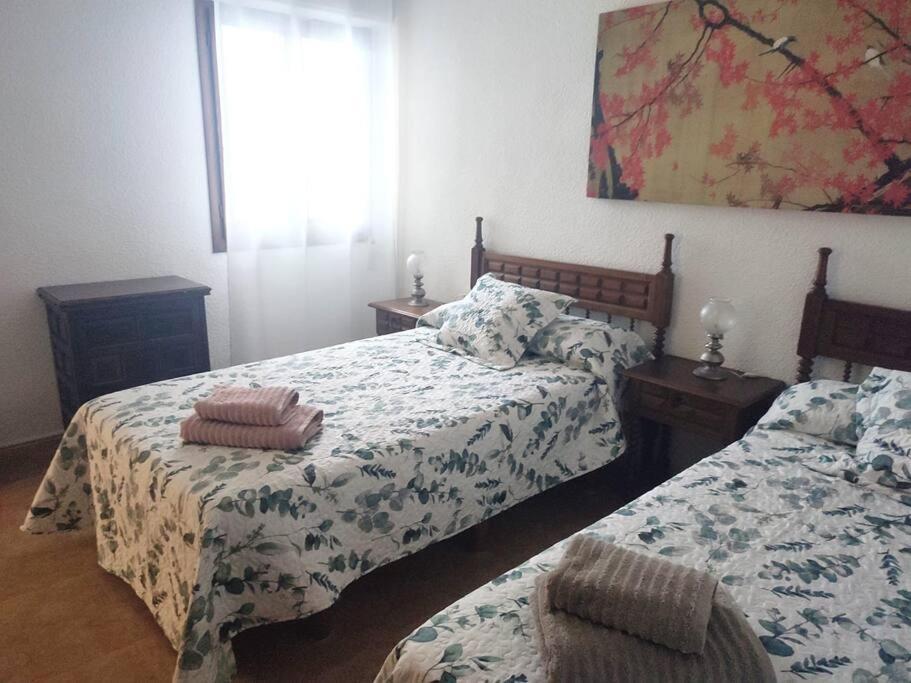 Charming & Spacious Apartment In Historic Centre & Short Walk To Beach Alicante Exterior foto